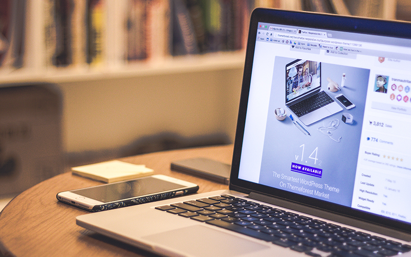 Domain (Alan Adı) Nedir ?